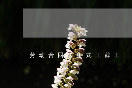 劳动合同法正式工辞工 劳动合同法正式工辞工