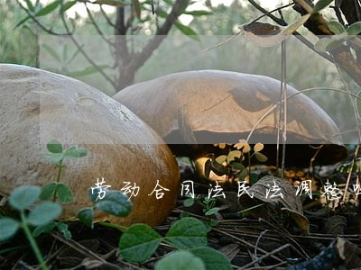 劳动合同法民法调整吗 劳动合同法民法调整吗
