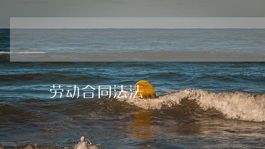 劳动合同法法 劳动合同法法