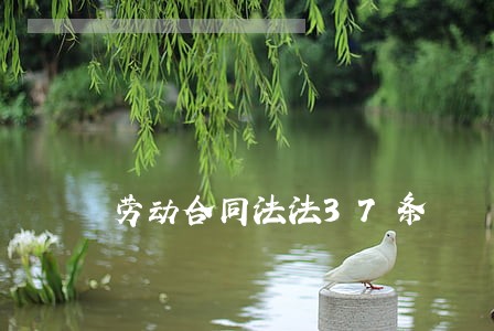 劳动合同法法37条 劳动合同法法37条