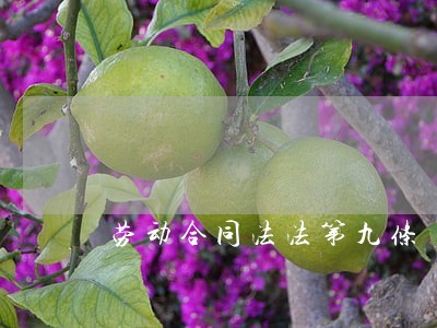 劳动合同法法第九条 劳动合同法法第九条