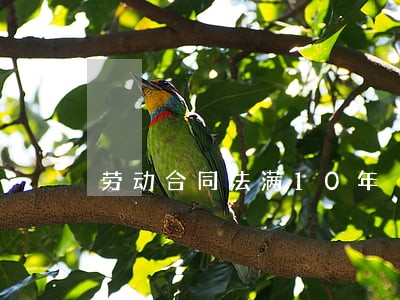 劳动合同法满10年 劳动合同法满10年