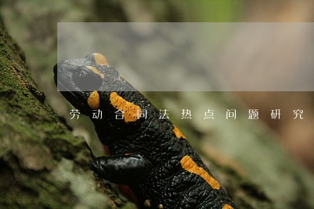 劳动合同法热点问题研究 劳动合同法热点问题研究