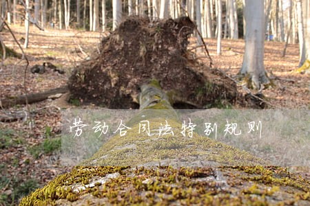 劳动合同法特别规则 劳动合同法特别规则
