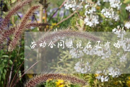 劳动合同法现在还有吗 劳动合同法现在还有吗