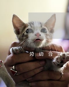 劳动合同法用工限制 劳动合同法用工限制
