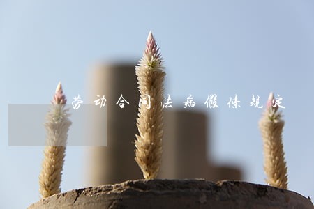 劳动合同法病假条规定 劳动合同法病假条规定