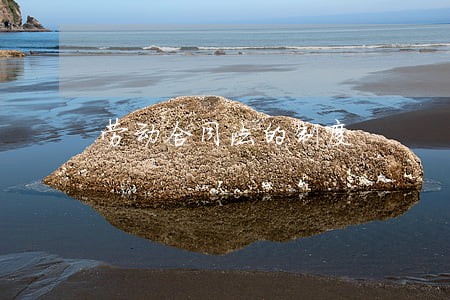 劳动合同法的制度 劳动合同法的制度