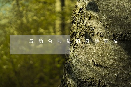 劳动合同法的劳动基准 劳动合同法的劳动基准