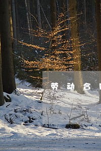 劳动合同法的挑战 劳动合同法的挑战