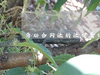 劳动合同法的法律责任