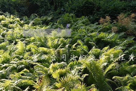劳动合同法的法律责任有 劳动合同法的法律责任有