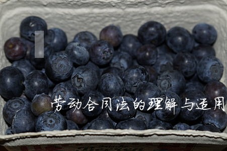 劳动合同法的理解与适用