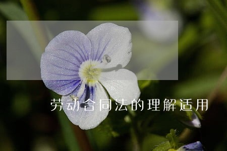 劳动合同法的理解适用 劳动合同法的理解适用