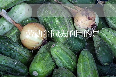 劳动合同法的目的是 劳动合同法的目的是
