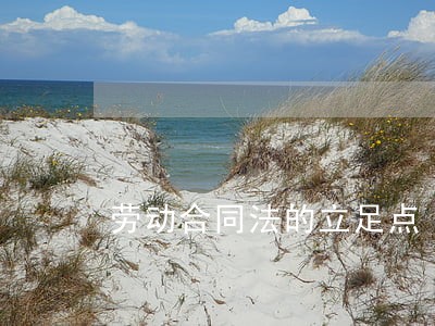 劳动合同法的立足点 劳动合同法的立足点