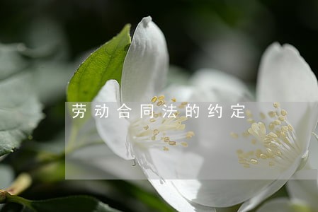 劳动合同法的约定 劳动合同法的约定