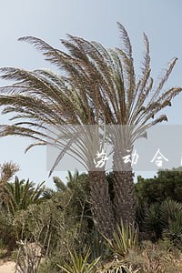 劳动合同法的结构 劳动合同法的结构