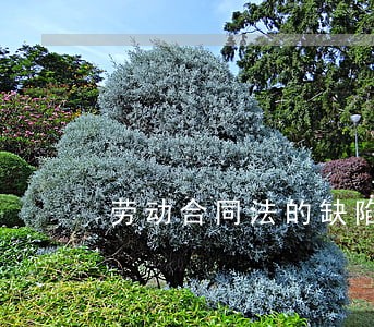 劳动合同法的缺陷 劳动合同法的缺陷