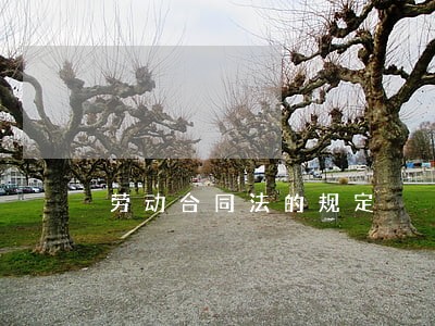 劳动合同法的规定 劳动合同法的规定