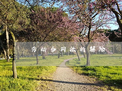 劳动合同法的解除 劳动合同法的解除