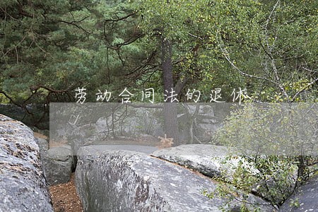 劳动合同法的退休 劳动合同法的退休