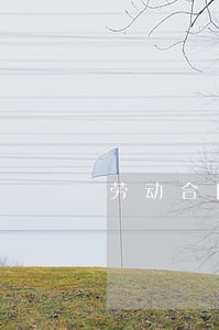 劳动合同法的适用主体 劳动合同法的适用主体