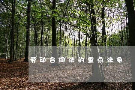 劳动合同法的重点法条 劳动合同法的重点法条