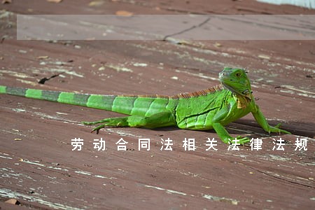 劳动合同法相关法律法规编辑 劳动合同法相关法律法规编辑