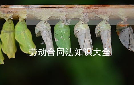 劳动合同法知识大全 劳动合同法知识大全