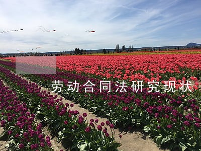 劳动合同法研究现状 劳动合同法研究现状