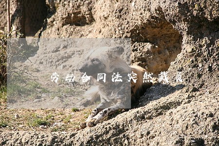 劳动合同法突然裁员 劳动合同法突然裁员