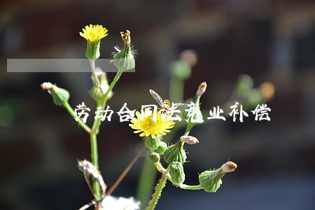 劳动合同法竞业补偿 劳动合同法竞业补偿