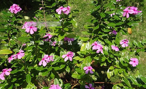 劳动合同法第3条 劳动合同法第3条