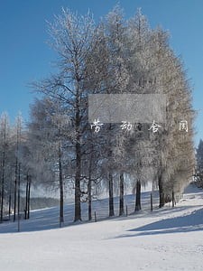 劳动合同法第48条 劳动合同法第48条