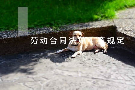 劳动合同法第4章规定