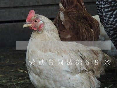 劳动合同法第69条 劳动合同法第69条