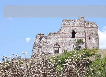 劳动合同法第88条 劳动合同法第88条