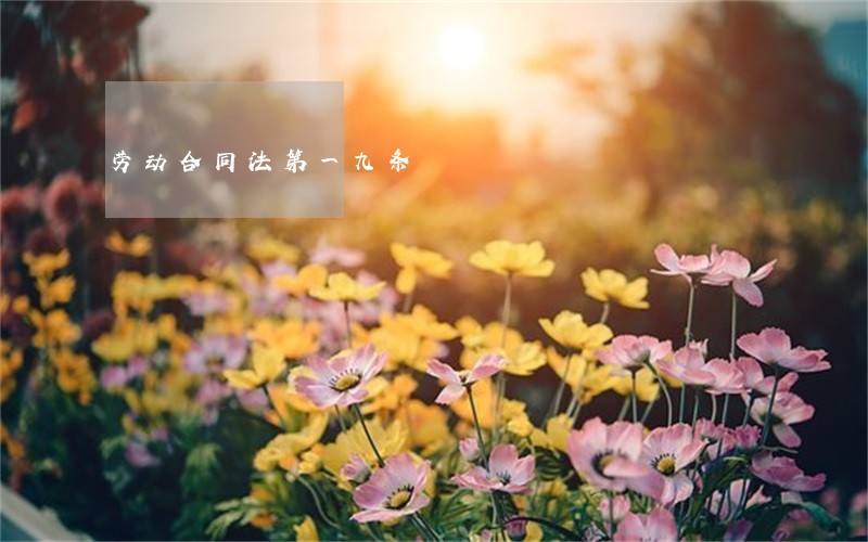 劳动合同法第一九条 劳动合同法第一九条