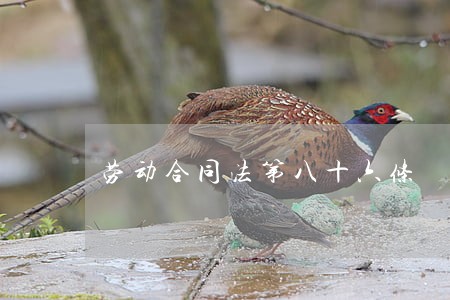劳动合同法第八十六条 劳动合同法第八十六条