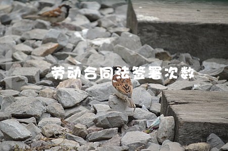 劳动合同法签署次数 劳动合同法签署次数