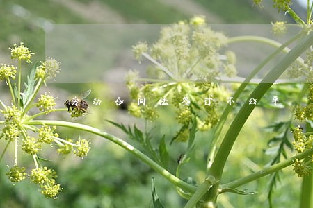 劳动合同法签订不公平 劳动合同法签订不公平