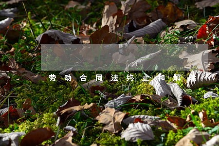 劳动合同法终止和解除 劳动合同法终止和解除