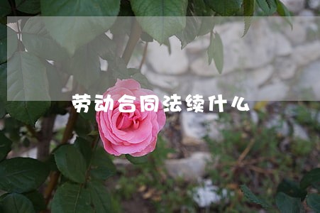 劳动合同法续什么 劳动合同法续什么