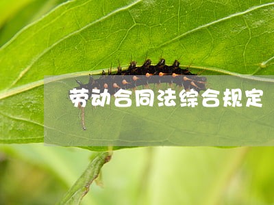劳动合同法综合规定 劳动合同法综合规定