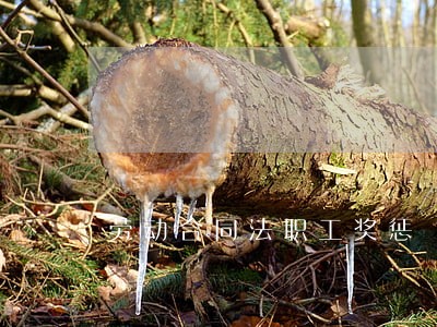 劳动合同法职工奖惩 劳动合同法职工奖惩