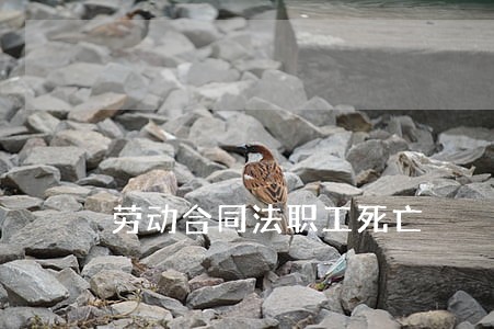 劳动合同法职工死亡