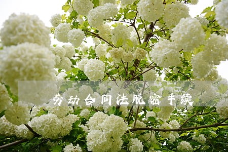 劳动合同法脱密手续 劳动合同法脱密手续