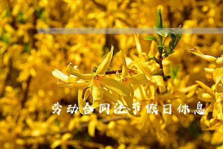 劳动合同法节假日休息 劳动合同法节假日休息