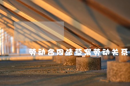 劳动合同法草案劳动关系 劳动合同法草案劳动关系